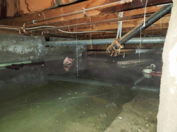 Reliable ND Water damage restoration Solutions