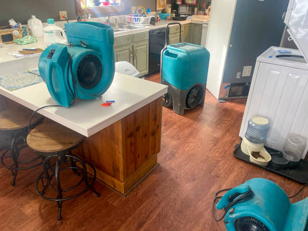 Best 24-hour water damage restoration  in Langdon, ND