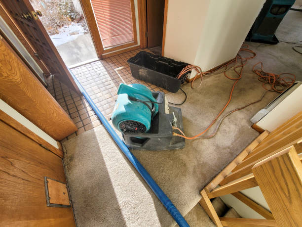 Best Emergency water damage restoration  in Langdon, ND