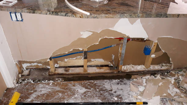 Best Water damage restoration near me  in Langdon, ND