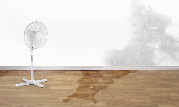 Best Emergency water damage restoration  in Langdon, ND