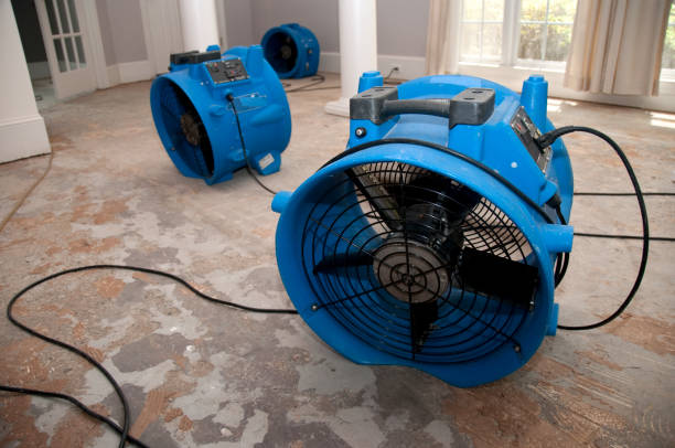 Best 24/7 water damage repair  in Langdon, ND