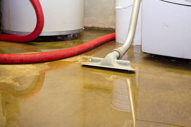 Best 24/7 water damage repair  in Langdon, ND